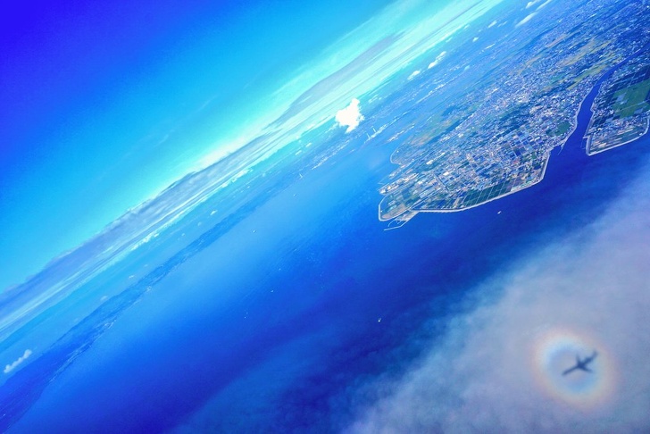 фотографии сделанные в нужный момент, снимки сделанные в нужное время