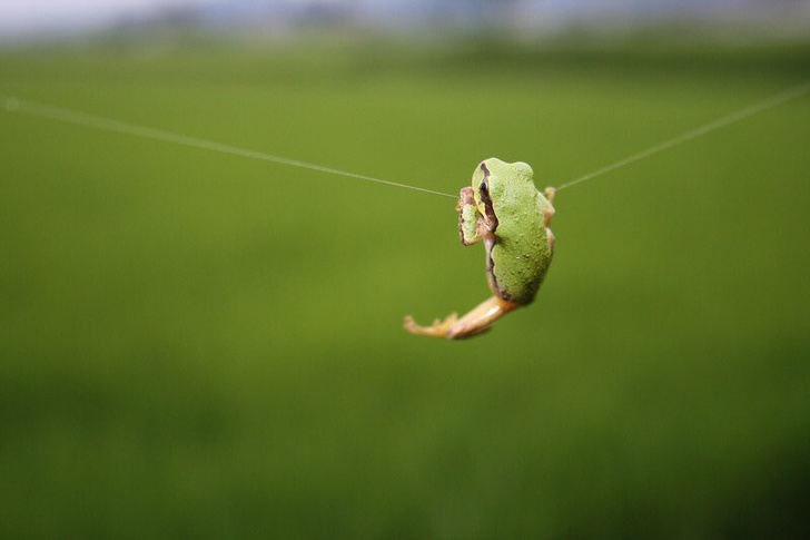фотографии сделанные в нужный момент, снимки сделанные в нужное время