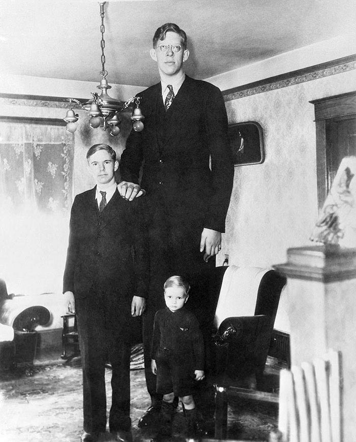 Самый высокий человек в мире фото и рост за всю историю