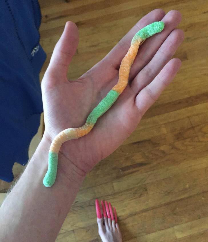 смешное на фоне, смешной фон, смешное на заднем плане, смешные фотобомбы