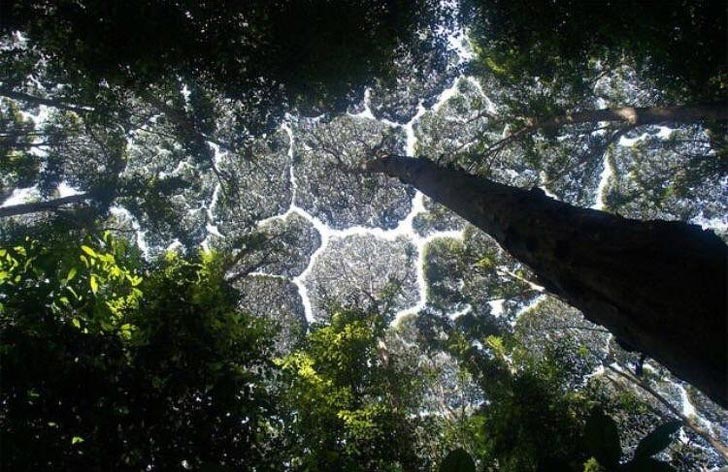 идеальные фотографии, рай для перфекциониста 