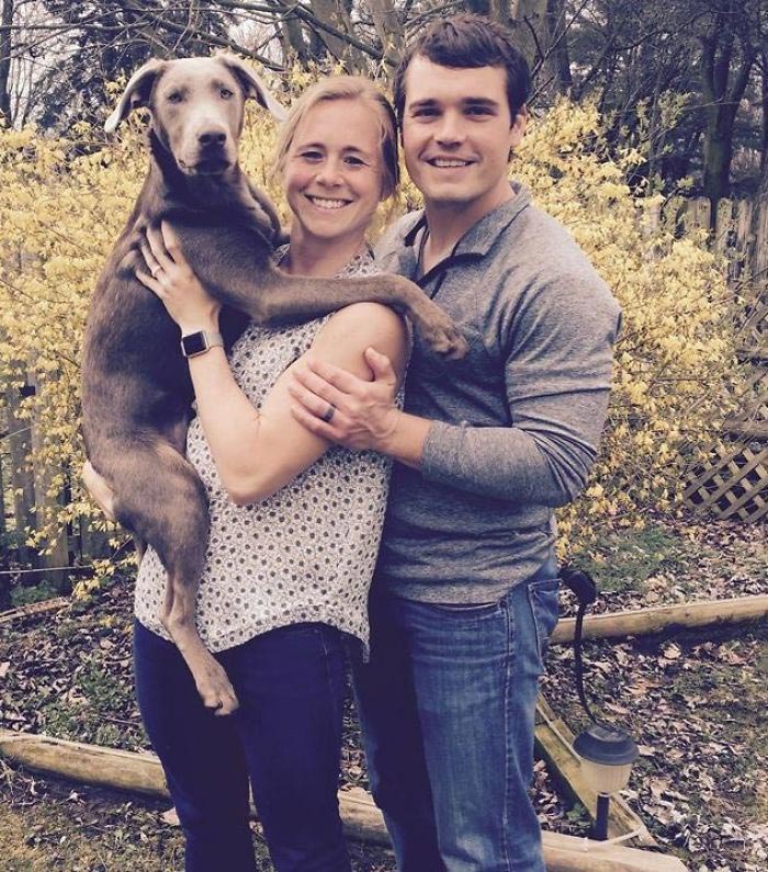 лабрадор Тинк, щенок Тинк