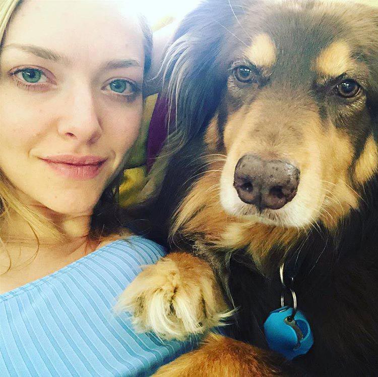 знаменитости до того как стали популярными, знаменитости до популярности, знаменитости тогда и сейчас