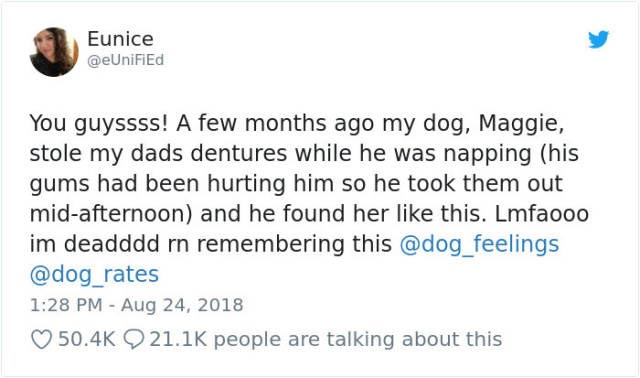 собака с зубными протезами, собака нашла зубные протезы, собака надела зубные протезы, собака украла зубные протезы