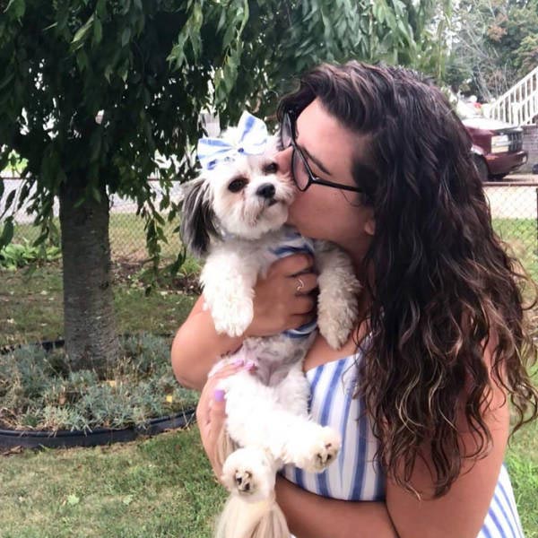 собака с зубными протезами, собака нашла зубные протезы, собака надела зубные протезы, собака украла зубные протезы