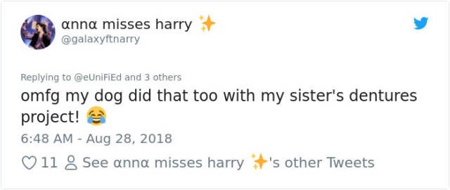 собака с зубными протезами, собака нашла зубные протезы, собака надела зубные протезы, собака украла зубные протезы