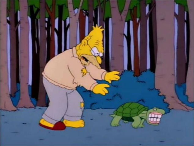 собака с зубными протезами, собака нашла зубные протезы, собака надела зубные протезы, собака украла зубные протезы