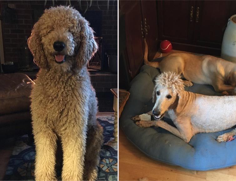 истории о нелепых ситуациях, смешные ситуации читать, неловкие ситуации читать, нелепые ситуации фото