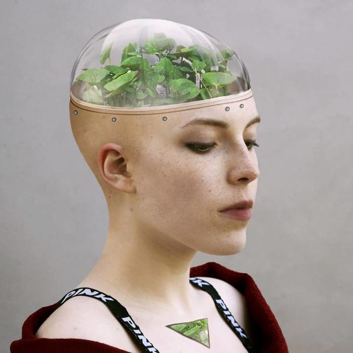 Александра Чертулова, Rayda Ealvay,