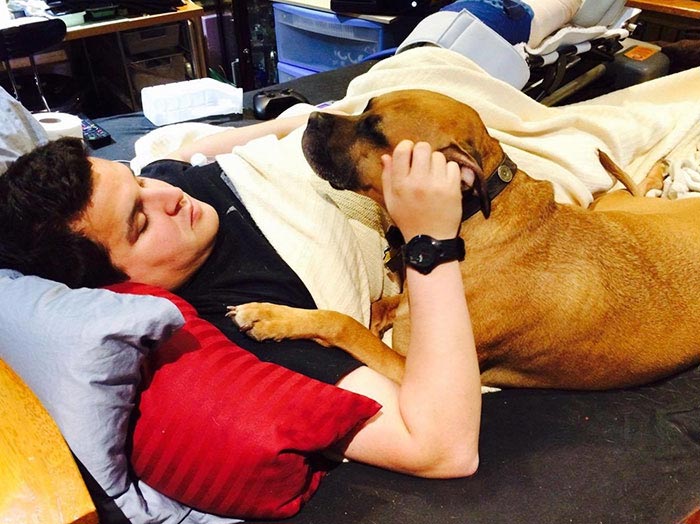 тату на собаке, сделал себе татуировку как у собаки, хозяин сделал тату как у собаки