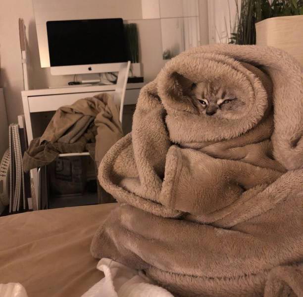 20 смешных доказательств того, насколько тяжело быть девушкой тяжело быть девушкой, смешные случаи девушки, смешные девушки, смешные фото из жизни девушек