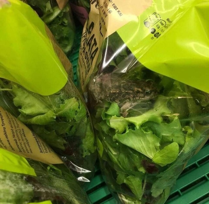 безумные фотографии, фотографии после которых вам захочется перекреститься 