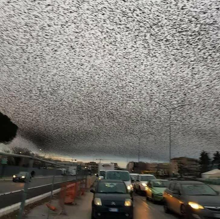 познавательные фотографии, увлекательные фотографии, фотографии необычных вещей