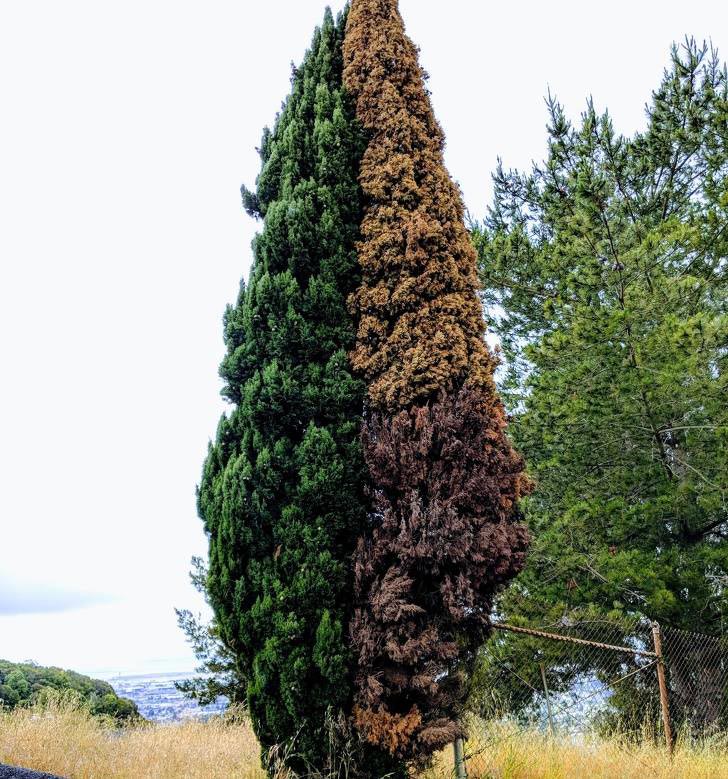 познавательные фотографии, увлекательные фотографии, фотографии необычных вещей