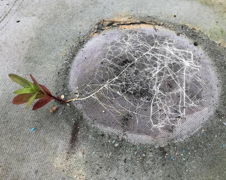 познавательные фотографии, увлекательные фотографии, фотографии необычных вещей