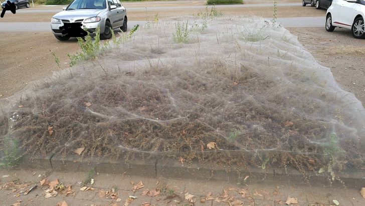 непонятные фотографии, необъяснимые фотографии 