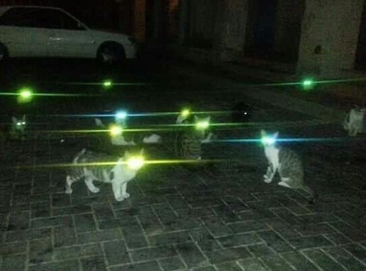 непонятные фотографии, необъяснимые фотографии 