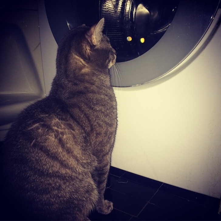 пугающие фотографии, страшные фотографии 