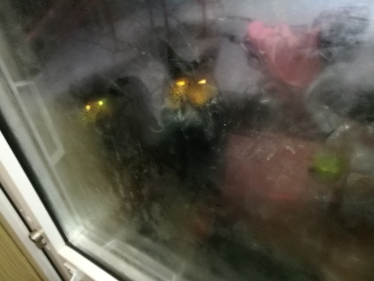 пугающие фотографии, страшные фотографии 