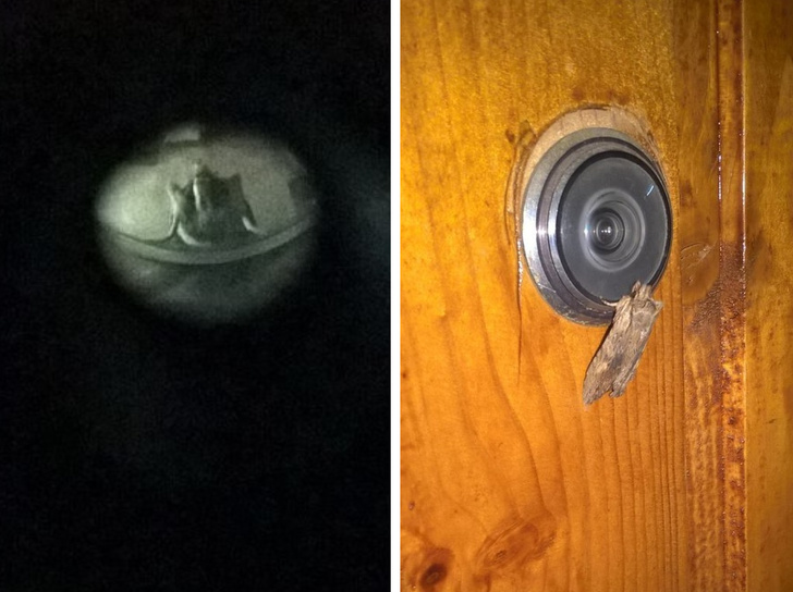 пугающие фотографии, страшные фотографии 