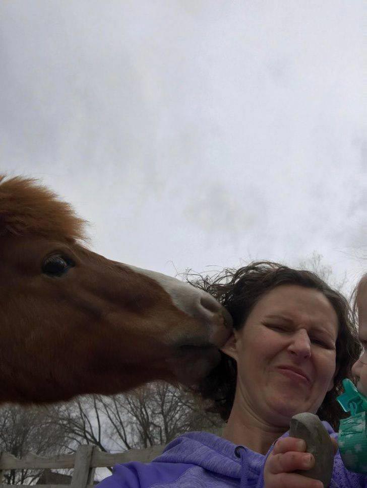 плохой день, плохой день фото, плохой день смешное, неудачный день, день не удался