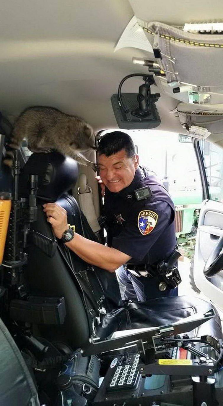 плохой день, плохой день фото, плохой день смешное, неудачный день, день не удался