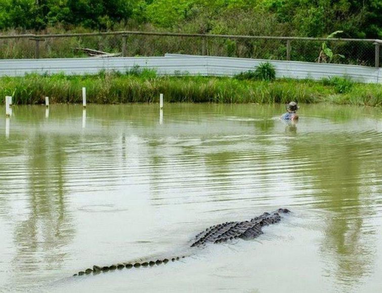 плохой день, плохой день фото, плохой день смешное, неудачный день, день не удался