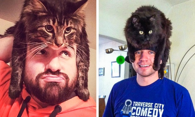 главные тренды 2018 года, шариз фольги, флэшмобы 2018 года 