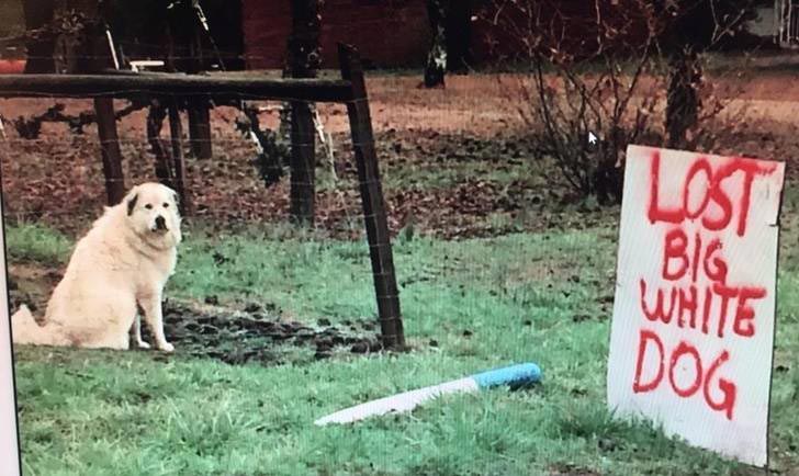 удивительные находки, нашли нечто необычное, истории о необычных находках, люди нашли необычные вещи