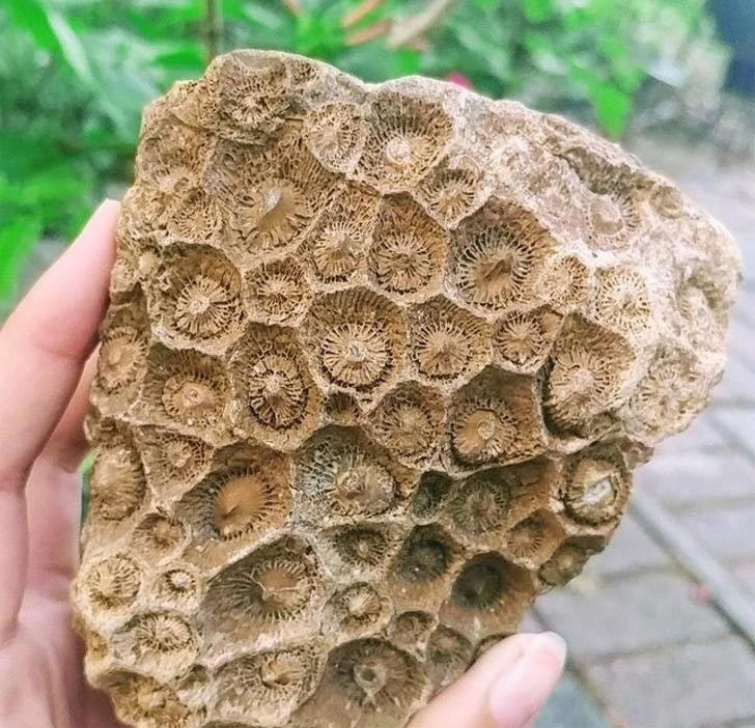 удивительные находки, нашли нечто необычное, истории о необычных находках, люди нашли необычные вещи