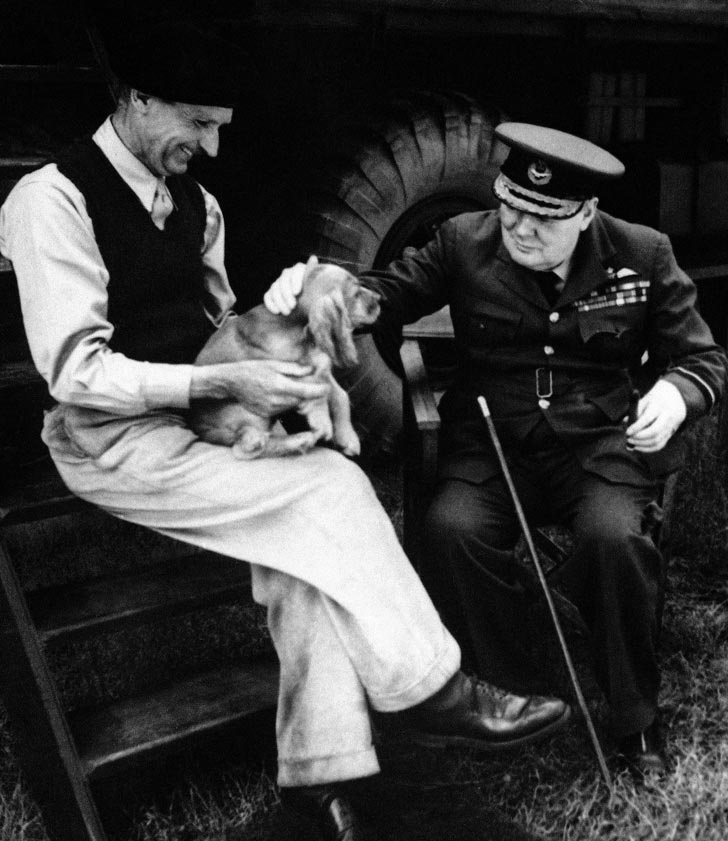 факты из жизни известных людей, факты о знаменитостях 