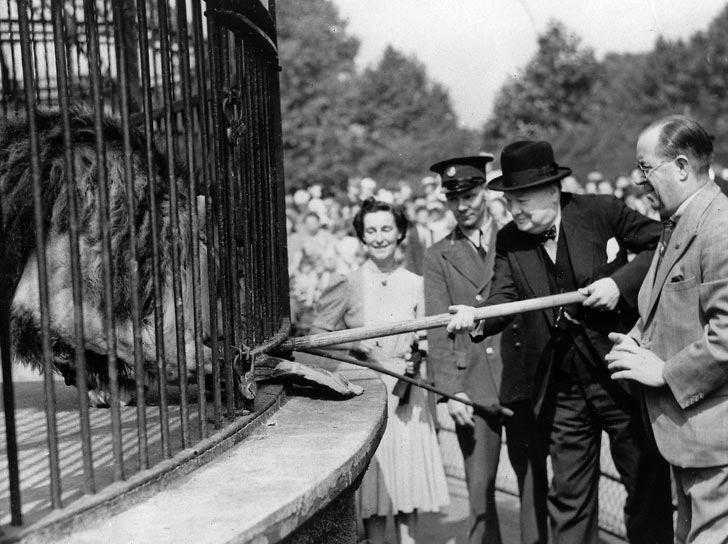 факты из жизни известных людей, факты о знаменитостях 