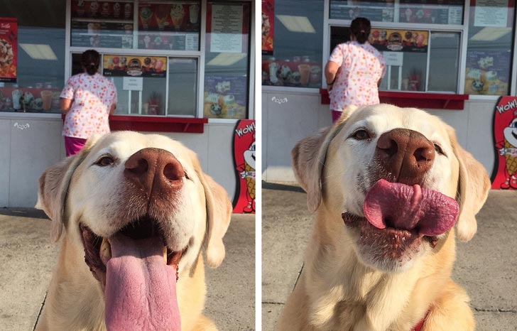 фотографии улучшающие настроение, смешные фотографии 