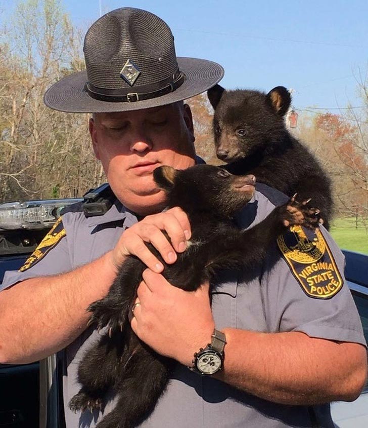 фотографии улучшающие настроение, смешные фотографии 