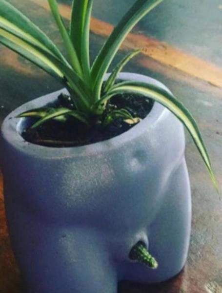 был всего один шанс, люди провалились, криворукие мастера, криворукие работники, плохо выполненная работа