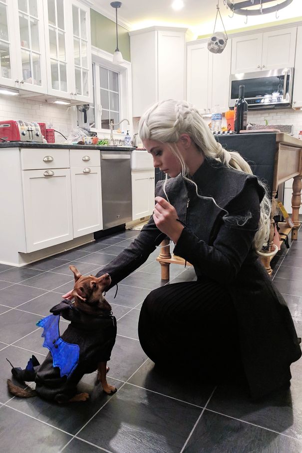  разорвали этот Хэллоуин в клочья своими крутыми и остроумными костюмами