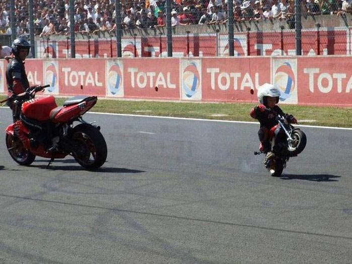 сходства детей и родителей, одинаковые родители и дети, сходства родителей и детей, дети выглядят как родители