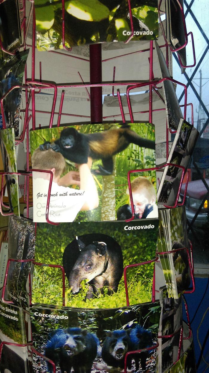 родители подкололи детей, родители разыграли детей, родители прикалываются над детьми, родители шутят над детьми