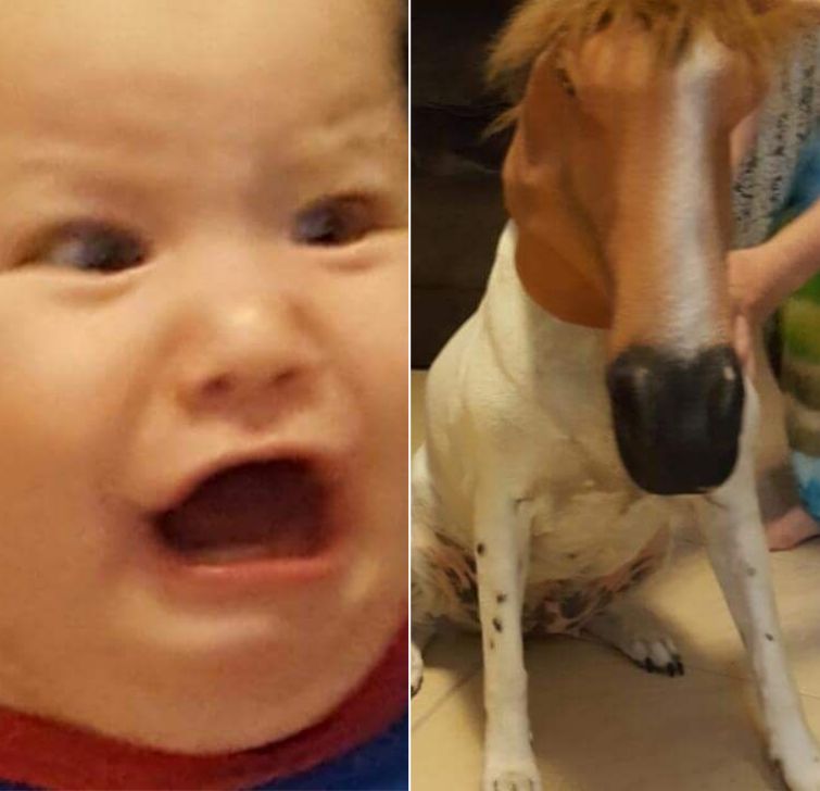 родители подкололи детей, родители разыграли детей, родители прикалываются над детьми, родители шутят над детьми