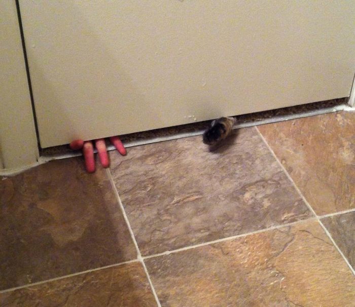 мужчины доказавшие что с ними женщинам никогда не будет скучно, 