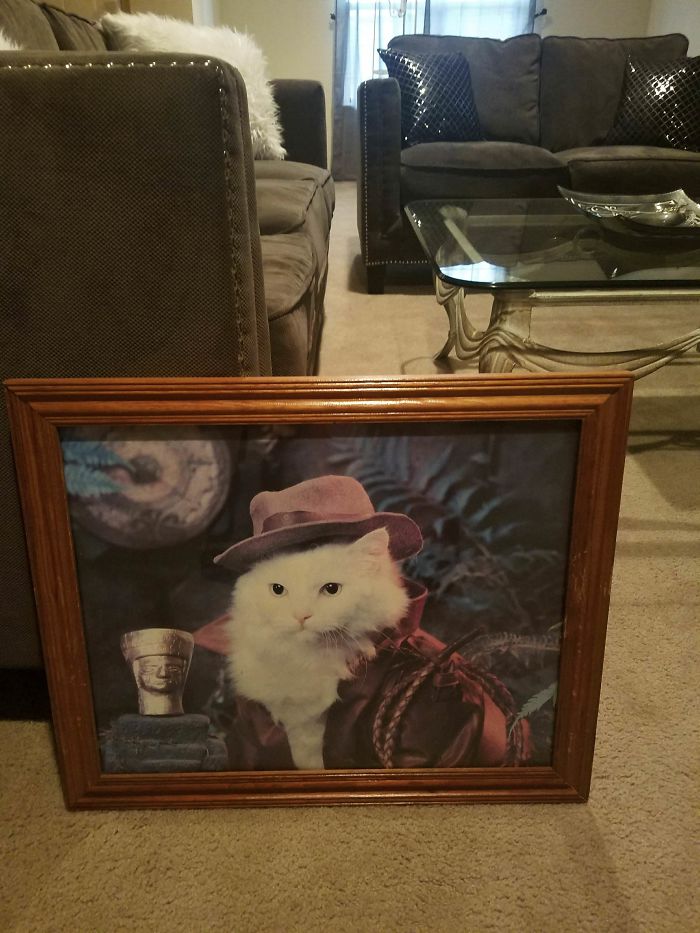 мужчины доказавшие что с ними женщинам никогда не будет скучно, 