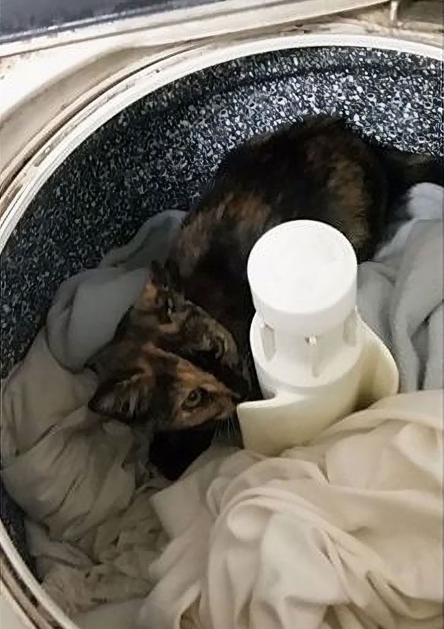 мужчины доказавшие что с ними женщинам никогда не будет скучно, 