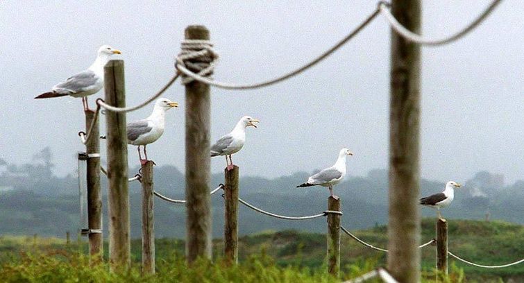дом для интровертов, дом на Лиху, остров Лиху, дом на острове, дом на острове Лиху