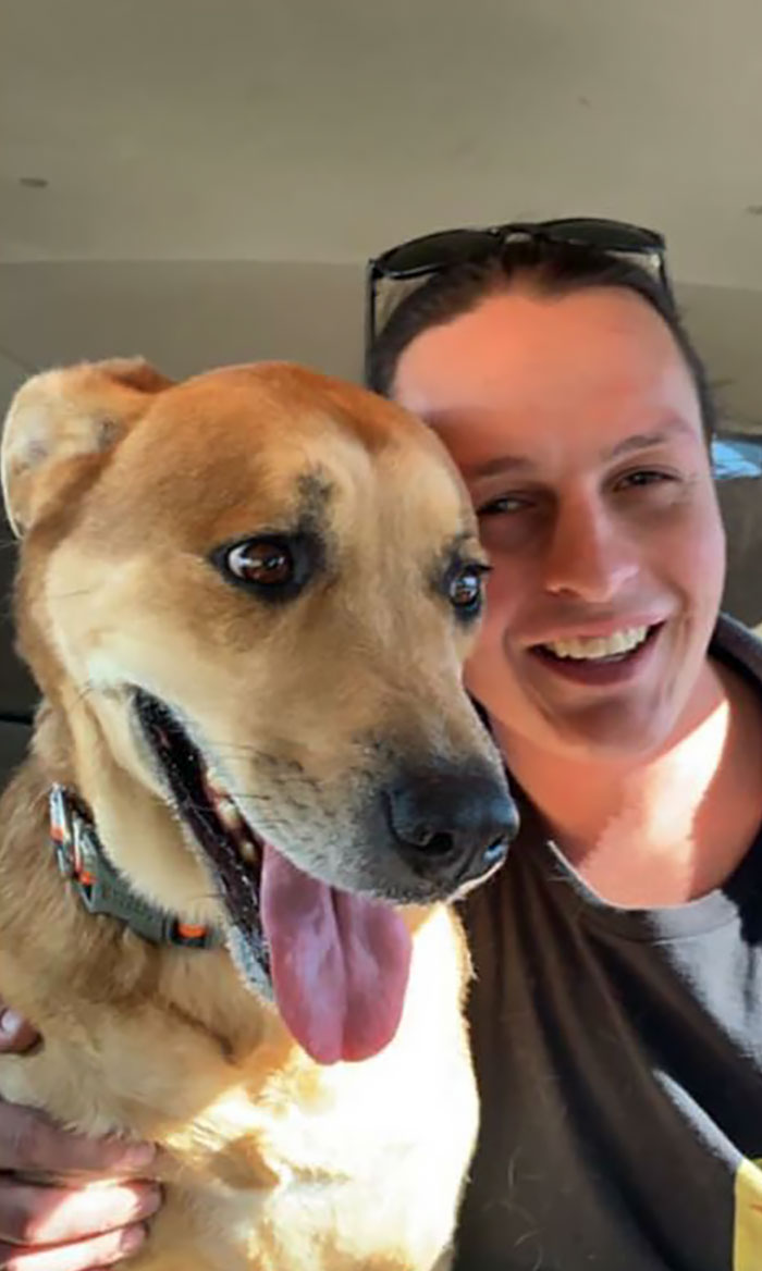 Семья бросила свою собаку в приюте с игрушками и кроватью, собака Валл-и