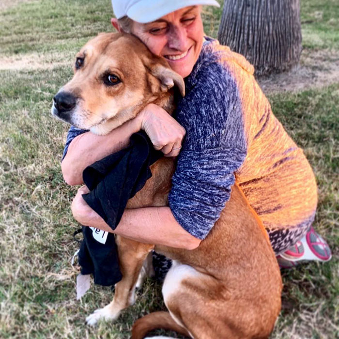 Семья бросила свою собаку в приюте с игрушками и кроватью, собака Валл-и