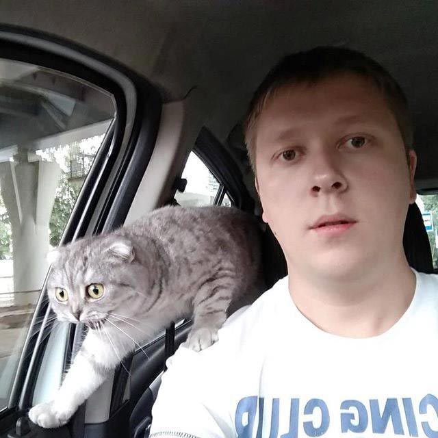 животные у ветеринара, животные боятся ветеринара, собака у ветеринара, кошка у ветеринара