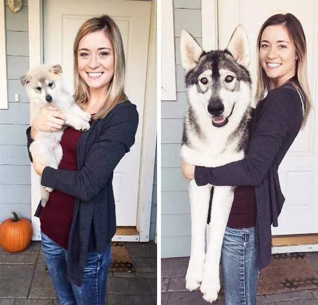 25 удивительных фотографий, доказывающих, что время меняет всё как меняет время, время меняет всё, до и после, тогда и сейчас