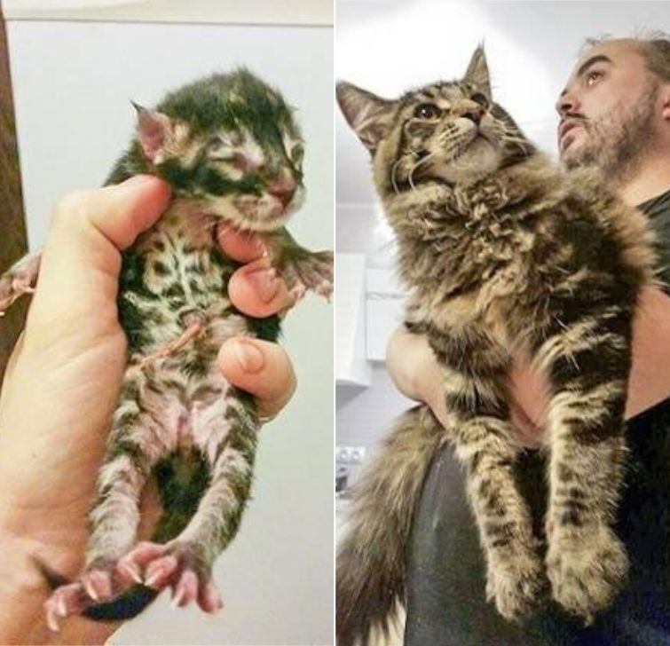 25 удивительных фотографий, доказывающих, что время меняет всё как меняет время, время меняет всё, до и после, тогда и сейчас