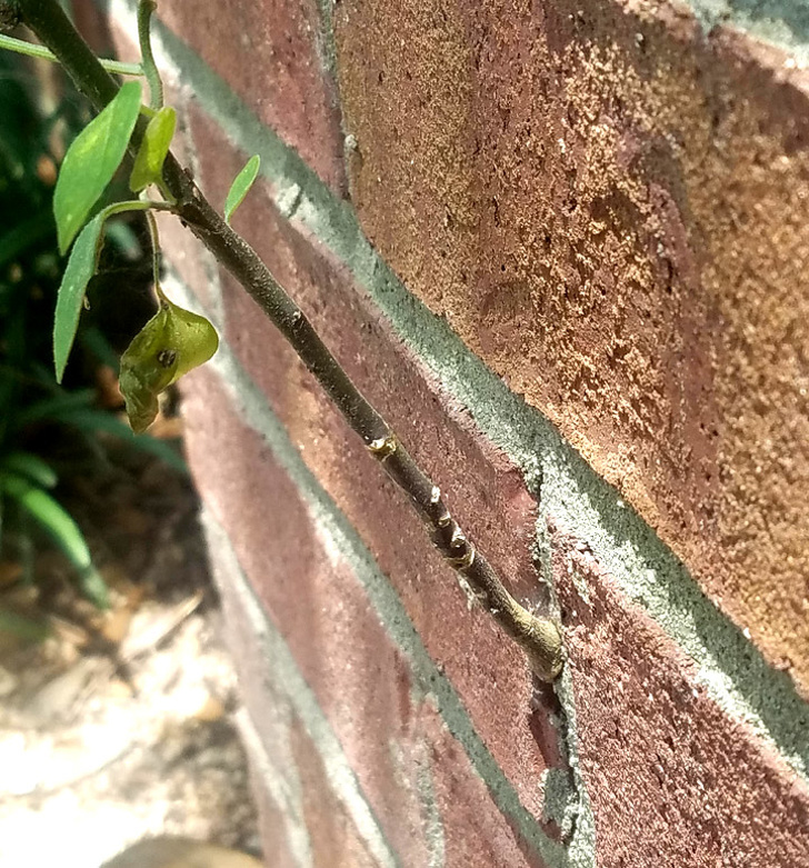 люди делятся неожиданными находками, удивительные находки