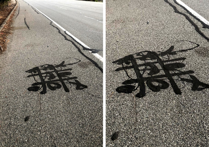 люди делятся неожиданными находками, удивительные находки